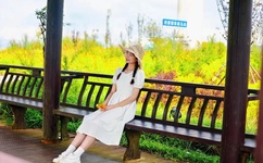 樱花动漫网站官网